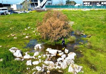 Torbalı Belediyesi'nden Halk Sağlığı İçin Seferberlik: Torbalı'da 12 Ay İlaçlama