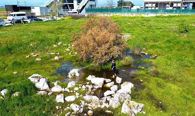 Torbalı Belediyesi'nden Halk Sağlığı İçin Seferberlik: Torbalı'da 12 Ay İlaçlama