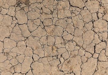 TEMA Vakfı: Toprak Yoksa Su, Su Yoksa Gıda Yok!