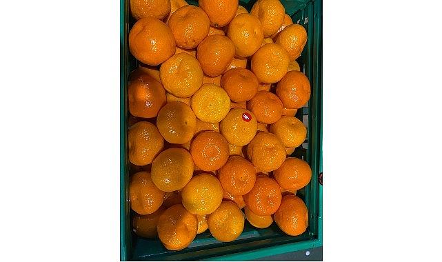 Mandalina ihracatı tarih yazıyor