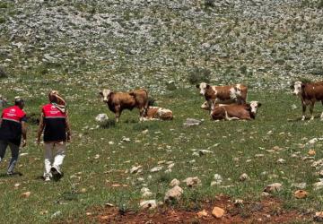 Adıyaman’da meralar için teknik inceleme