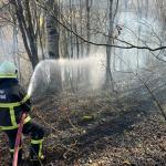 Ordu’da son bir haftada 40 yangın çıktı