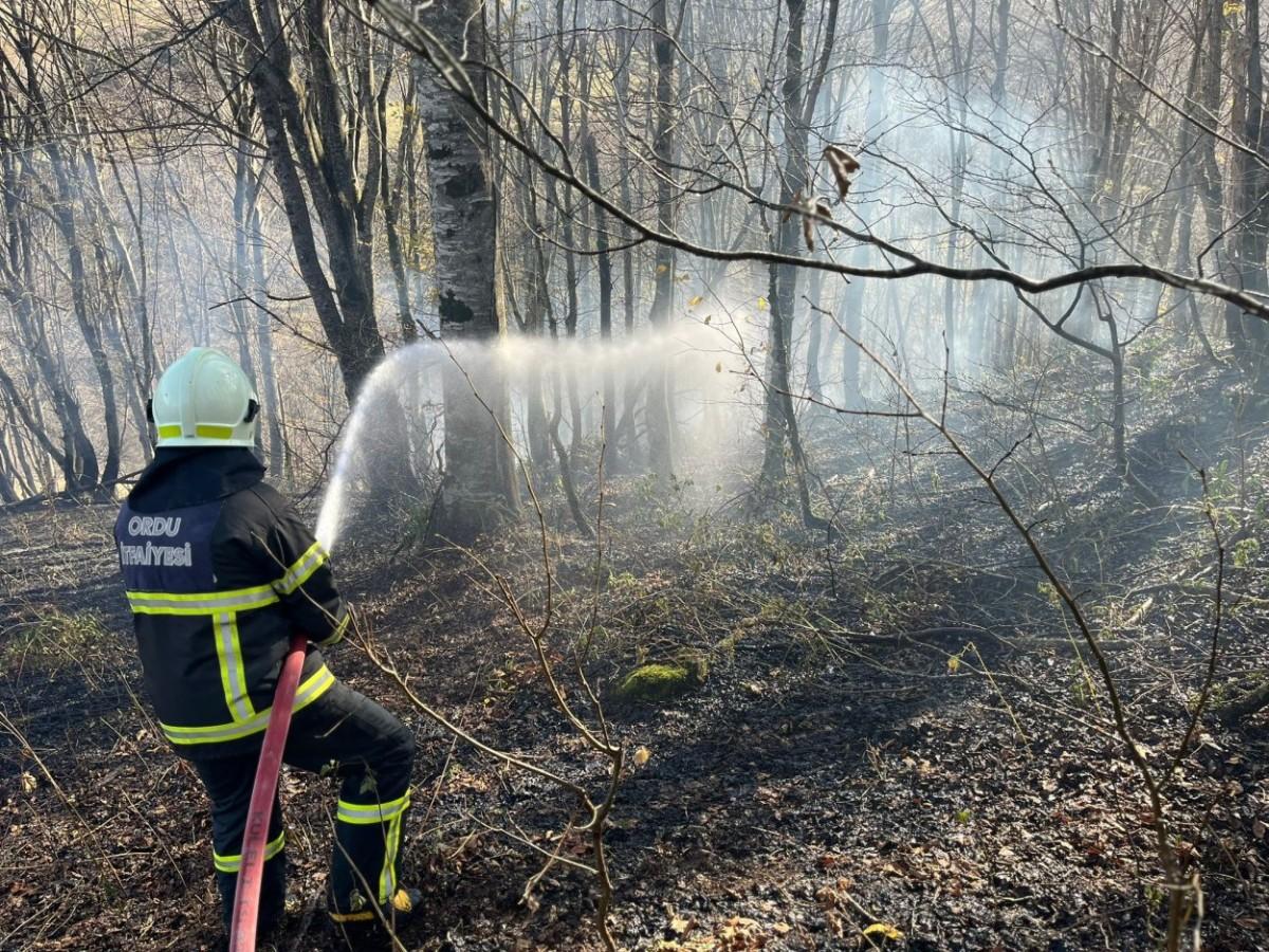 Ordu’da son bir haftada 40 yangın çıktı