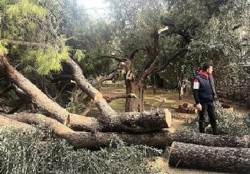 Şiddetli Fırtına Nedeniyle Yaşanan Olumsuz Durumlara Milas Belediyesi Anında Müdahale Etti