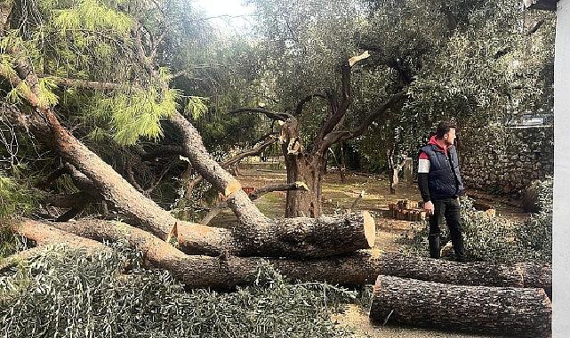 Şiddetli Fırtına Nedeniyle Yaşanan Olumsuz Durumlara Milas Belediyesi Anında Müdahale Etti
