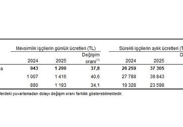 Tarımsal İşletme İşgücü Ücret Yapısı, 2025