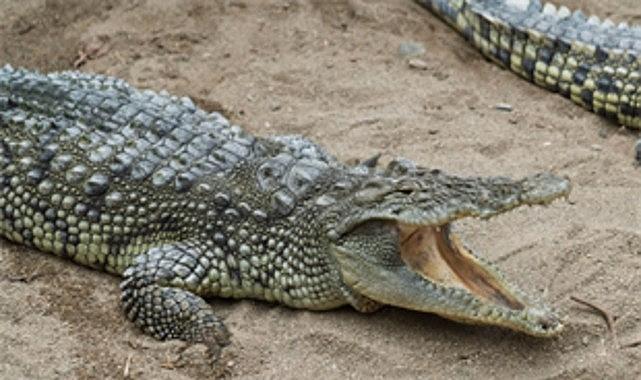 Büyükşehir'den çocuklara bayram hediyesi