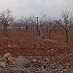 Şanlıurfa Örcünlü Mahallesi’nde elektrik kesintisi ve su sorunu