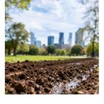 TEMA Vakfı: Sağlıklı kentler için, sağlıklı topraklara ihtiyacımız var!