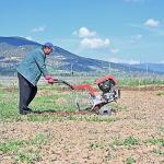 Büyükşehir ipek böceği yetiştiriciliğini yaygınlaştırıyor