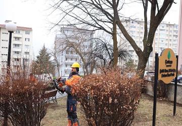 Çankaya'da Budama Çalışmaları Bahar Öncesi Hız Kazandı