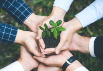 Çevre koruma harcamaları 2024’te 441 milyar TL’ye ulaştı