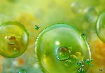 Akdeniz'de Görülen Mikroalgler ve Olası Sağlık Riskleri