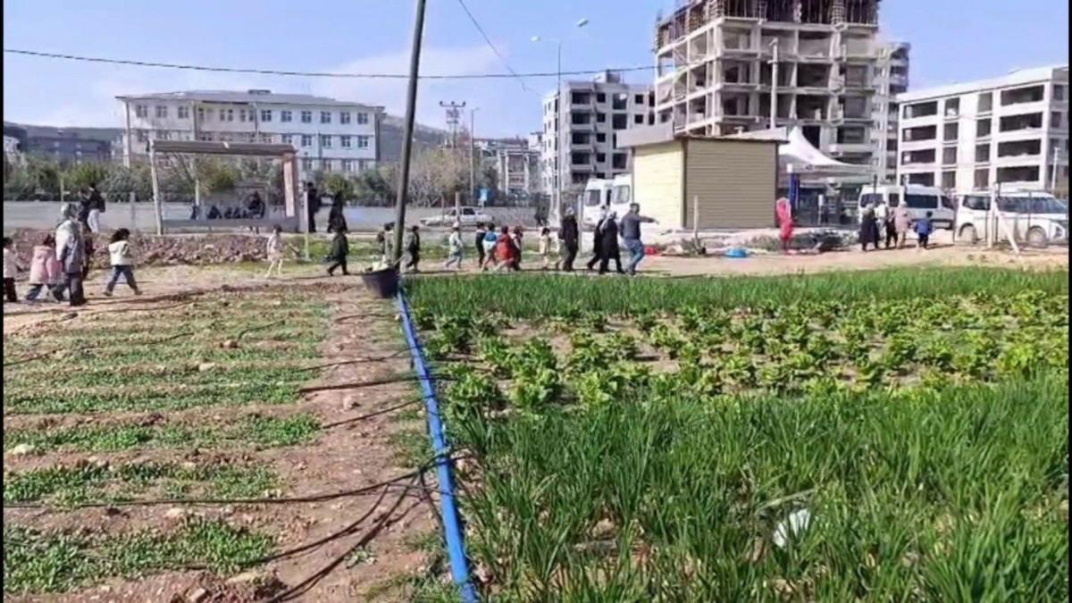 Öğrenciler, Adıyaman Belediyesi’nin sebze bahçesinde incelemelerde bulundu - Videolu Haber