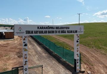 Karaköprü’de sokak hayvanları için doğal yaşam alanı genişletiliyor