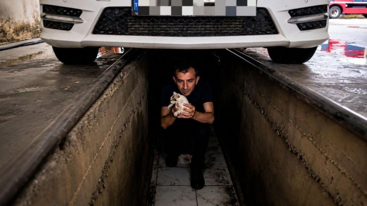 Adıyaman İtfaiyesi, yavru kediler için seferber oldu - Videolu Haber