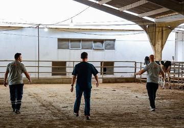 Büyükşehir'in kurban yakalama timi göreve hazır