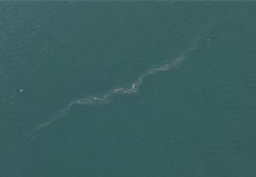 İzmir Körfezi'nde 13. dış kaynaklı kirlilik vakası