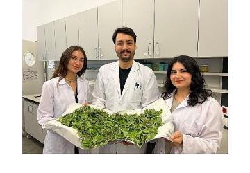 BİLGİ'li öğrenciler antibiyotik direncine karşı yenilikçi ve doğal bir yöntem geliştirdi