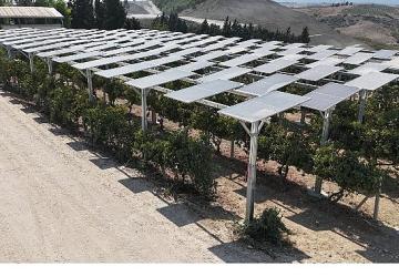 Yüzde 60 eğimli arazide ilk güneş enerjisi santrali Adana'da
