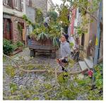 Ayvalık'ta Kışa Hazırlık…