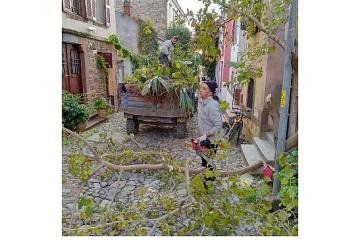 Ayvalık'ta Kışa Hazırlık…