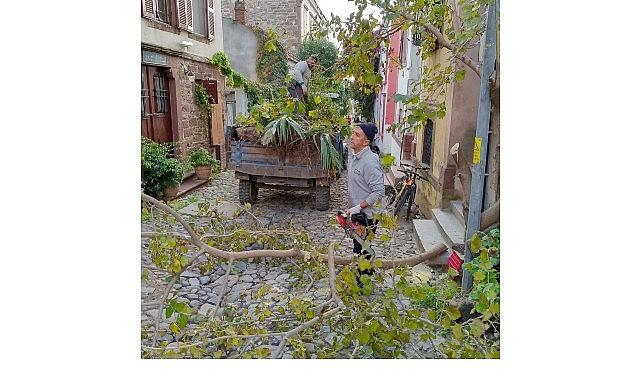 Ayvalık'ta Kışa Hazırlık…