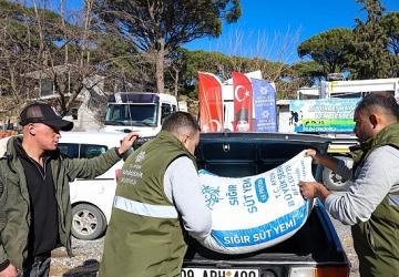 Aydın Büyükşehir Belediyesi'nin Küçük Üreticilere Yem Destekleri Devam Ediyor
