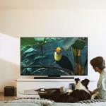 TechRadar 2025 yılında Samsung S95F OLED TV'yi 'Yılın TV'si seçti