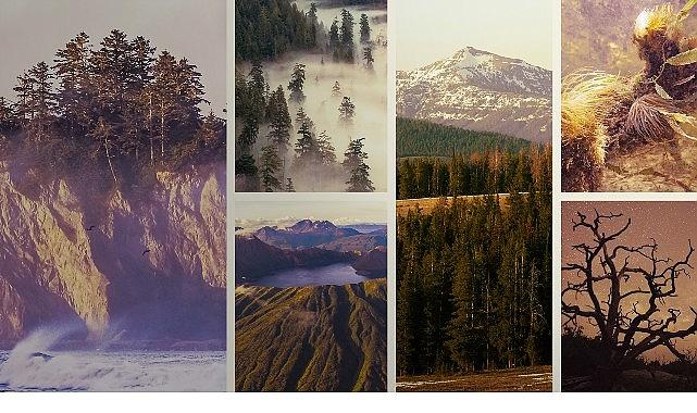 'Ulusal Parklar: Amerika Özel', 3 Mayıs Pazar Saat 20.00'de National Geographic WILD Ekranlarında İzleyicilerle Buluşuyor!