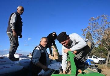 Salihli Belediyesi Buğday Ekimine Başladı