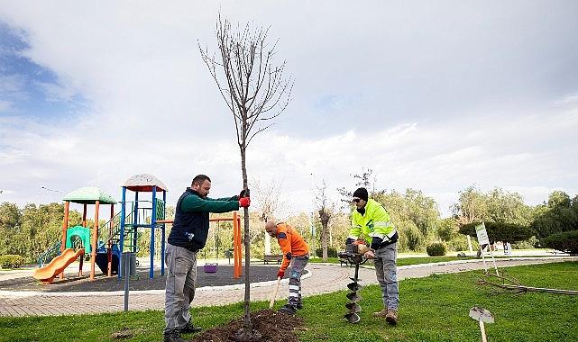 Narlıdere, Peyzaj Çalışmalarıyla Güzelleşiyor