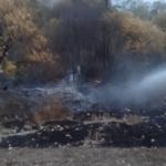 Besni’de Kesecik Köyü’nde çıkan yangın kontrol altına alındı - Videolu Haber