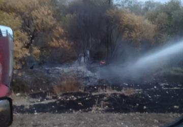 Besni’de Kesecik Köyü’nde çıkan yangın kontrol altına alındı - Videolu Haber