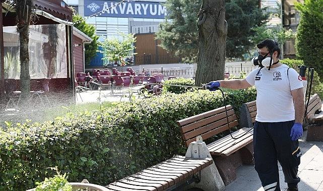 Bayrampaşa'da sineklere karşı yoğun mesai