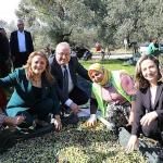 Zeytinin Başkenti Edremit'te MECİ Şenliği başlıyor