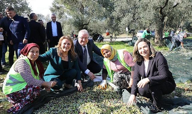 Zeytinin Başkenti Edremit'te MECİ Şenliği başlıyor