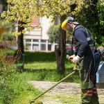 Maltepe'nin parkları yaza hazırlanıyor