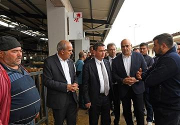 Osmangazi'de Kurban Satış ve Kesim Alanları Hizmete Hazır