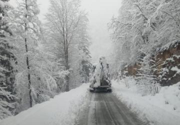 Trabzon Yükseklerinde Kar Ulaşımı Engelledi
