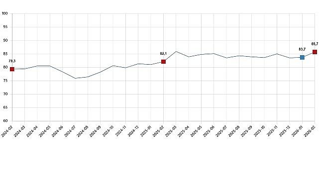 Tüketici Güven Endeksi, Şubat 2026