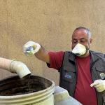 Maltepe'de sivrisinek mücadelesi erken başladı