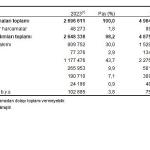 Sosyal Koruma İstatistikleri, 2024