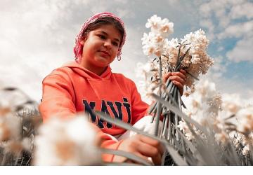Nergis Kokulu Festival İçin Geri Sayım Başladı: Bayındır Turan Mahallesi Hazır!