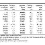 Hanehalkı Yurt İçi Turizm, IV. Çeyrek: Ekim-Aralık 2025