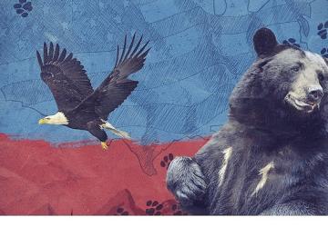 2 Bölümden Oluşan 'Amerika'nın Hayvanları', 24 Mayıs Pazar Saat 20.00'de National Geographic WILD Ekranlarında Başlıyor!