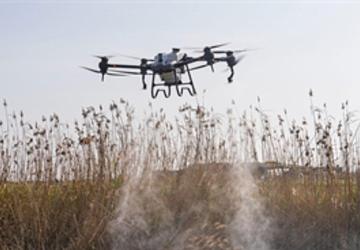 Sivrisinek ve zararlılara karşı İzmir modeli