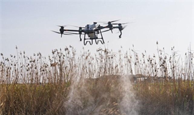 Sivrisinek ve zararlılara karşı İzmir modeli