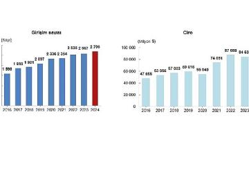 Yurt Dışında Kontrol Edilen Girişim İstatistikleri, 2024