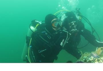 Büyükakın: “Dipten diriliş tüm Marmara'ya yayılıyor"